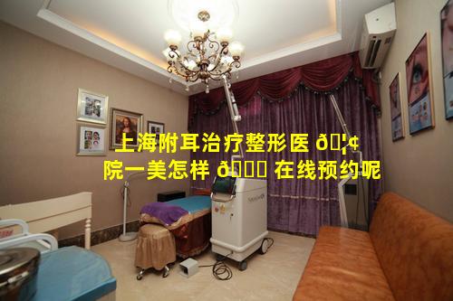 上海附耳治疗整形医 🦢 院一美怎样 💐 在线预约呢